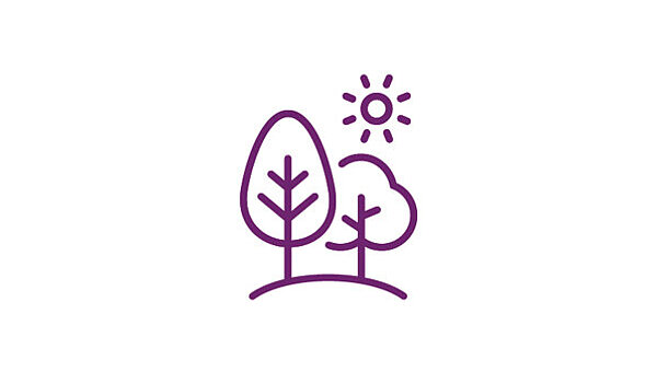 Icon-Abbildung von zwei Bäumen und der Sonne