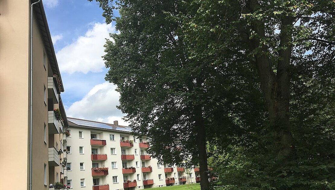 Bild der Mietwohnung in Kassel Fasanenhof